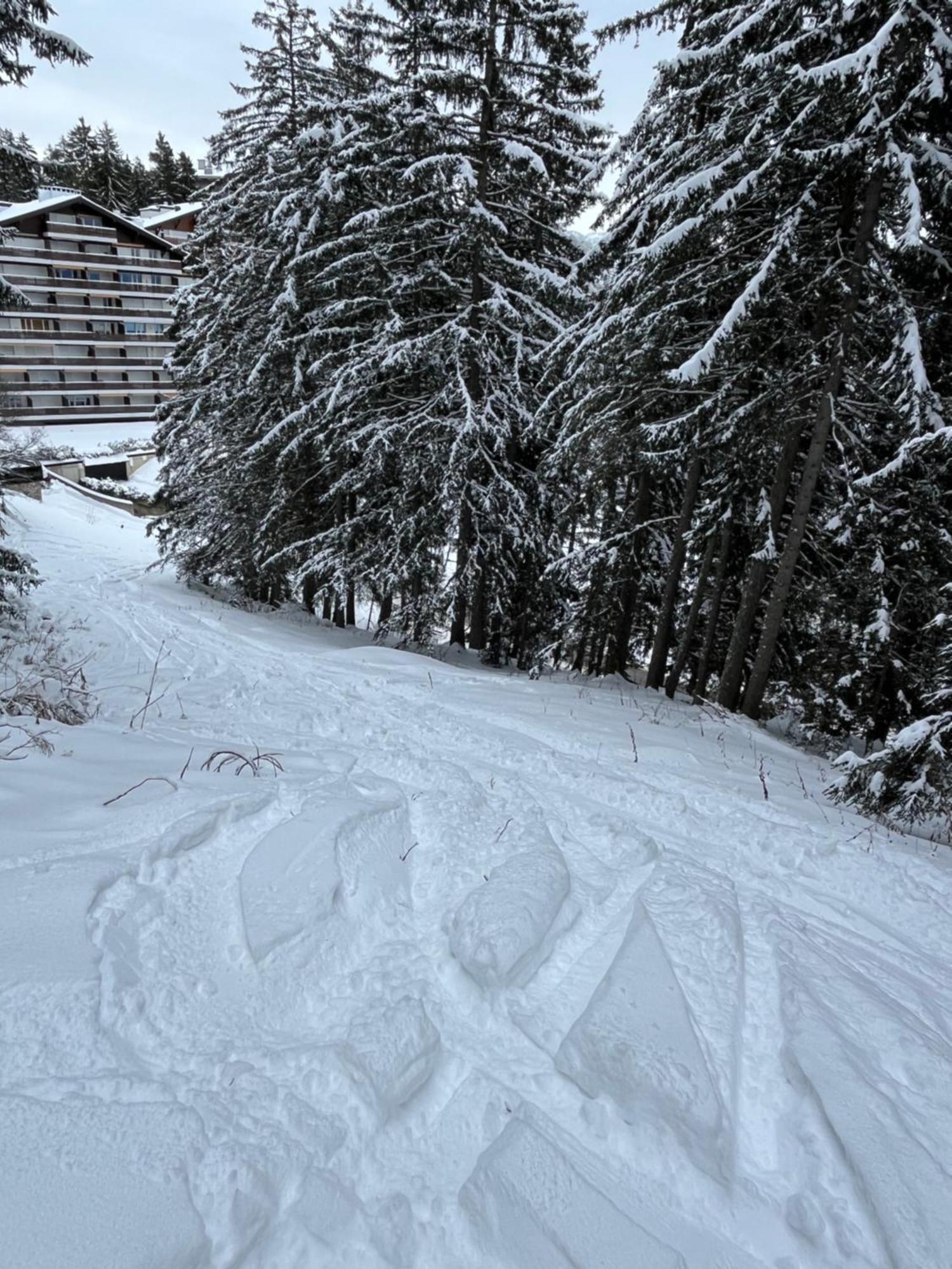 Apartment 5min-to-slope Alpin View Crans-Montana